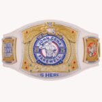 ''John Cena Farewell Tour 2025 Los Angeles Spinner Championship Replica Title Belt''
